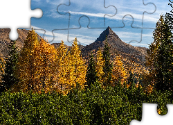 Jesień, Góry, Drzewa, Las