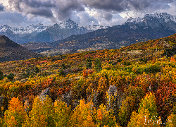 Góry, Jesień, San Juan Mountains, Kolorowe, Drzewa, Kolorado, Stany Zjednoczone