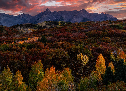 Stany Zjednoczone, Kolorado, Dallas Divide, Góry, Lasy, Jesień