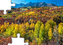Jesień, Góry, San Juan Mountains, Kolorowe, Drzewa, Las, Kolorado, Stany Zjednoczone