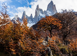 Argentyna, Patagonia, Góry, Jesień, Drzewa, Skały