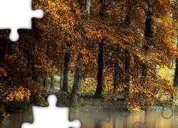 Jesień, Drzewa, Pożółkłe, Liście, Rzeka