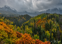 Góry, Jesienne, Drzewa, Ciemne, Chmury