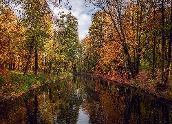 Jesień, Rzeka, Kolorowe, Drzewa, Park