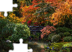 Jesień, Ogród japoński, Drzewa, Krzewy, Mostek, Portland Japanese Garden, Portland, Oregon, Stany Zjednoczone