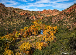 Jesień, Drzewa, Góry, Rzeka, Kanion Sycamore, Arizona, Stany Zjednoczone