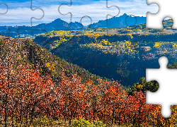 Jesień, Góry, San Juan Mountains, Dolina, Drzewa, Lasy, Kolorowe, Krzewy, Telluride, Kolorado, Stany Zjednoczone