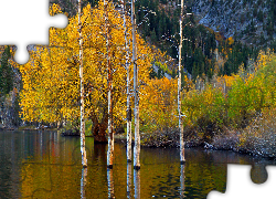 Jesień, Drzewa, Krzewy, Jezioro