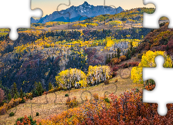 Jesień, Góry, San Juan Mountains, Lasy, Kolorowe, Drzewa, Kolorado, Stany Zjednoczone