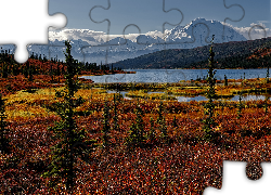 Stany Zjednoczone, Alaska, Park Narodowy Denali, Góry, Kordyliery, Jezioro, Wonder Lake, Drzewa, Jesień, Roślinność