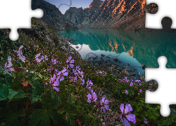 Kwiaty, Góry Tienszan, Jezioro Ala-Kul, Odbicie, Skały, Kirgistan