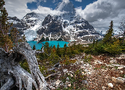 Park Prowincjonalny Mount Robson, Jezioro, Berg Lake, Drzewa, Kamienie, Kanadyjskie Góry Skaliste, Góra, Mount Robson, Chmury, Kanada