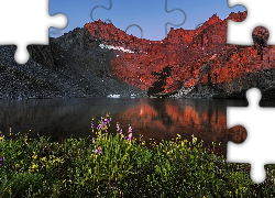 Góry, Sierra Nevada, Kwiaty, Jezioro, Birch Lake, Kalifornia, Stany Zjednoczone