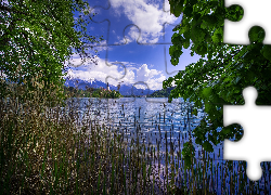 Jezioro Bled, Słowenia, Wyspa Blejski Otok, Kościół, Drzewa, Trzciny