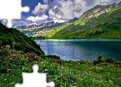 Jezioro Engstlensee, Góry Alpy, Chmury, Łąka, Kwiaty, Trawa, Krzewy, Drzewa, Roślinność, Kanton Berno, Szwajcaria