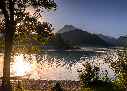 Austria, Góry, Alpy, Jezioro, Fuschlsee Lake, Drzewo, Ławka, Krzewy, Wschód słońca