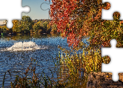 Jesień, Drzewa, Szuwary, Jezioro Max Eyth See, Stuttgart Hofen, Niemcy