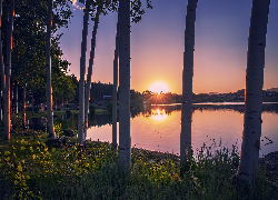 Stany Zjednoczone, Kolorado, Red Feather Lakes, Drzewa, Zachód słońca, Jezioro