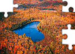 Jezioro, Lasy, Jesień, Z lotu ptaka, Drzewa, Ontario, Kanada