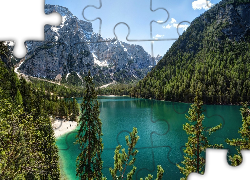 Jezioro Pragser Wildsee, Góry Dolomity, Tyrol Południowy, Włochy, Drzewa