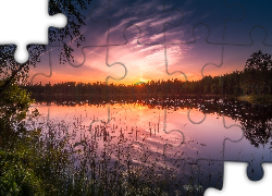 Finlandia, Gmina Ruovesi, Park Narodowy Helvetinjärvi, Jezioro Siikajärvi, Zachód słońca, Drzewa
