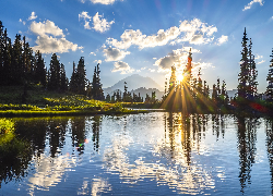 Park Narodowy Mount Rainier, Góry, Drzewa, Jezioro, Tipsoo Lake, Niebo, Zachód słońca, Stan Waszyngton, Stany Zjednoczone