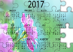 Kalendarz, 2017, Róża