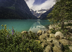 Góry, Jezioro, Lake Louise, Park Narodowy Banff, Drzewo, Kamienie, Kwiaty, Kanada