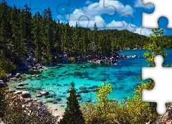 Jezioro, Tahoe Lake, Kamienie, Drzewa, Las, Brzeg, Kalifornia, Stany Zjednoczone