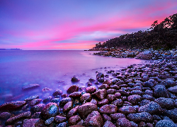 Morze, Brzeg, Kamienie, Drzewa, Niebo, Różowe, Zachód słońca, Bluestone Bay, Tasmania, Australia