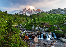 Stany Zjednoczone, Waszyngton, Park Narodowy Mount Rainier, Góry, Drzewa, Trawa, Rzeka, Kamienie