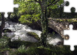 Kamienny, Most, Rzeka, Drzewa, Walia, Park Narodowy Snowdonia,  Roślinność