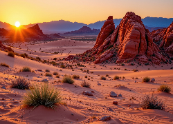 Pustynia, Rośliny, Skały, Zachód słońca, Grafika AI