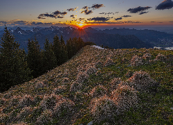 Góry, Drzewa, Las, Kępki, Sucha, Trawa, Chmury, Zachód słońca