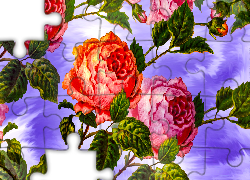 Kwiaty, Róże, Czerwona, Różowa, Grafika