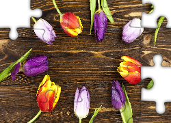 Kolorowe, Fioletowe, Tulipany