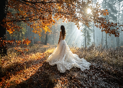Kobieta, Biała, Suknia, Las, Jesień, Drzewo, Gałęzie, Liście, Słoneczny blask