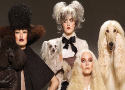 Trzy, Kobiety, Psy, Pudel, Grzywacz chiński, Chart afgański