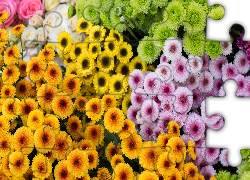 Kwiaty, Żółte, Zielone, Pomarańczowe, Różowe, Chryzantemy  drobnokwiatowe