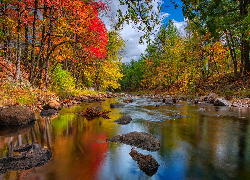 Rzeka, Jesień, Drzewa, Kamienie