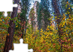 Jesień, Park Narodowy Yosemite, Góry, Drzewa, Las, Stan Kalifornia, Stany Zjednoczone