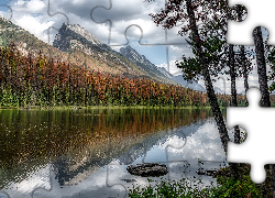 Las, Drzewa, Góry, Jezioro, Honeymoon Lake, Park Narodowy Jasper, Alberta, Kanada