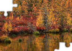 Jesień, Drzewa, Odbicie, Jezioro Jack London, Kołyma, Magadan, Rosja