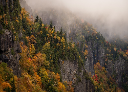 Jesień, Góry, Skały, Kolorowe, Drzewa, Mgła