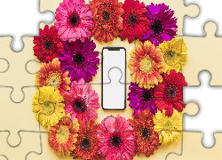 Kwiaty, Kolorowe, Gerbery, Telefon komórkowy