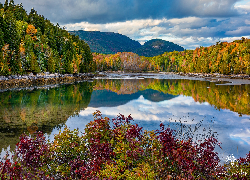 Stany Zjednoczone, Stan Maine, Park Narodowy Acadia, Jezioro, Jordan Pond, Lasy, Roślinność, Góry, Bubble Mountains