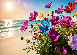 Morze, Plaża, Kwiaty, Kosmea, Kolorowe, Promienie słońca