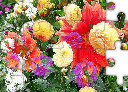 Kolorowe, Kwiaty, Dalie, Liście, Fractalius