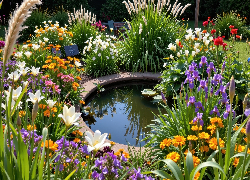 Ogród, Oczko, Wodne, Kolorowe, Kwiaty, Trawy, Ozdobne