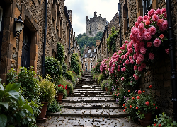 Domy, Uliczka, Brukowana, Schody, Kwiaty, AI